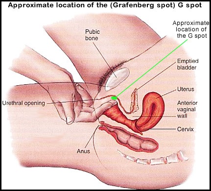 How To Squirt Woman 63